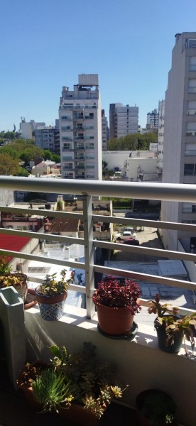 Exclusivo apartamento en pocitos para inversioncon renta . 